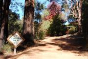 Top Pemberton