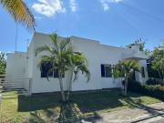 Top Guayacana