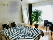 Cozy Central Apartment