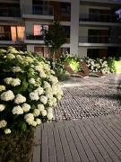 Luksusowy apartament Sunrise SAUNA SIŁOWNIA taras ogródek garaż