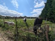 Top Yarnton