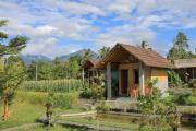 Top Bedugul
