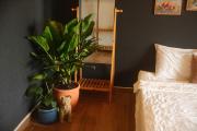 Rosa Home