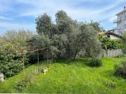 Top Ceriale
