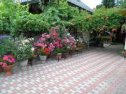 Muskátli apartman Muskátli apartman