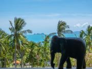 Top Koh Samui Top Koh Samui