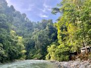 Top Bukit Lawang Top Bukit Lawang