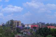 Top Thika