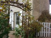 Les Roses Trémières