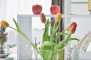 Modern Studio on Victor Hugo w AC