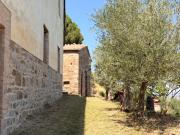 Top Montalcino