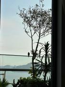 Top Ha Long