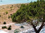 Top Saint-Trojan-les-Bains