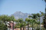 Stunning Marbella Apartment with Sea Views