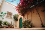 Top Djerbahood