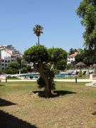 Valmangude Albufeira 118