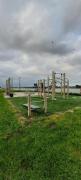 Room near Rotterdam offered by Maashouse