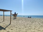 Top Hammamet Sud