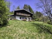 Top Morgins