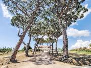 Top Marina di Bibbona