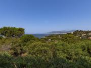 Top Grosseto-Prugna