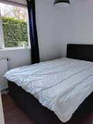 De meeuw