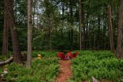 Top Pocono Pines