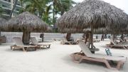 Top Nuevo Nayarit