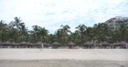 Top Nuevo Nayarit