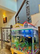 Top Puducherry