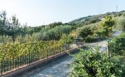 Top Borgo a Buggiano