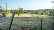 Top Borgo a Buggiano