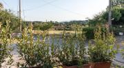 Top Borgo a Buggiano