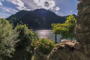 Top Nesso