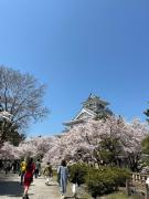 Top Nagahama