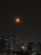 Top Greater Noida