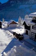 Top Gosau