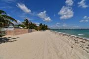 Top Placencia