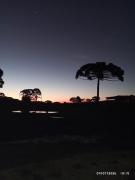 Top Campo Alegre