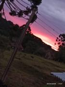 Top Campo Alegre