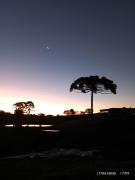 Top Campo Alegre