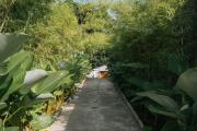Top Ubud