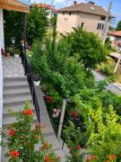 Top Ivaylovgrad