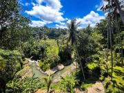 Top Ubud