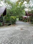 Top Bukit Lawang