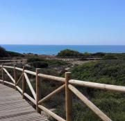 Top Marbella