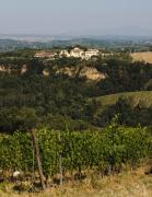 Top Barberino di Val dʼElsa