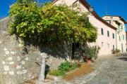 Top Serravalle Pistoiese Top Serravalle Pistoiese