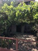 Top Podgora