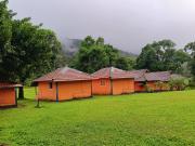 Top Kurchi
